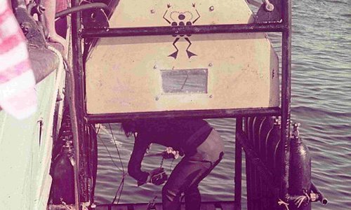 Image description