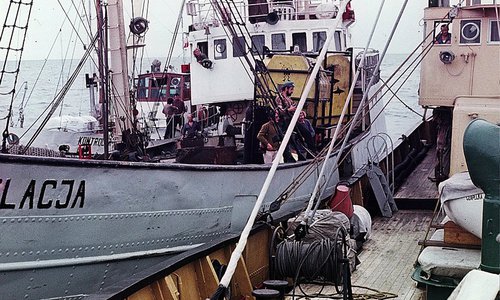 Image description